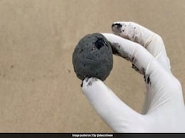 'Mysterious Black Balls' Spotted At Sydney Beaches 'Mysterious Black Balls' Spotted At Sydney Beaches