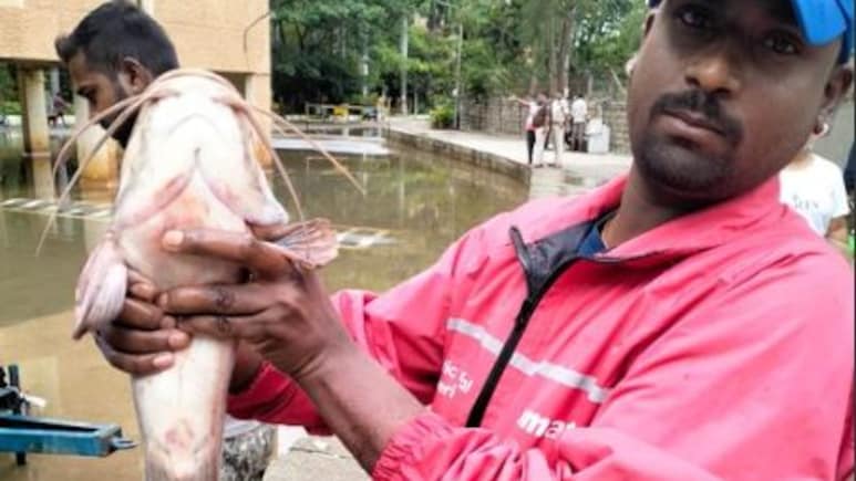 बेंगलुरु में भारी बारिश से जलभराव, अपार्टमेंट में मछलियां पकड़ते दिखे लोग, कभी यहां रहते थे पूर्व राष्ट्रपति एपीजे अब्दुल कलाम
