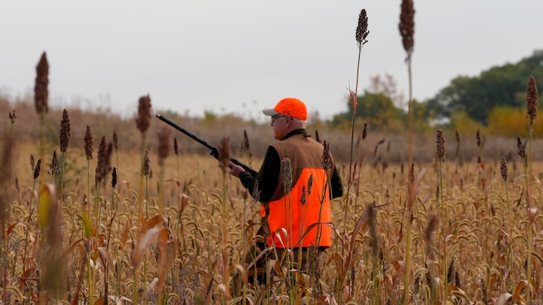 Tim Walz Struggles With Shotgun At Pheasant Hunt, Gets Mocked