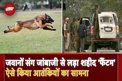 Jammu Kashmir Terrorist Attack: आंतकियों से मुठभेड़ में Army Dog Phantom शहीद Jammu Kashmir Terrorist Attack: आंतकियों से मुठभेड़ में Army Dog Phantom शहीद