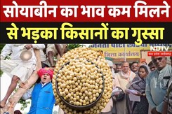 Soyabean पर MSP कम मिलने से भड़का किसानों का गुस्सा, दी बड़ी चेतावनी! Soyabean पर MSP कम मिलने से भड़का किसानों का गुस्सा, दी बड़ी चेतावनी!