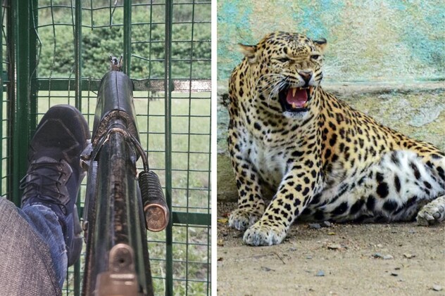 Latest and Breaking News on NDTV Latest and Breaking News on NDTV