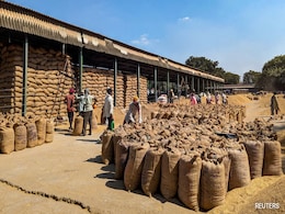 Explained: Impact Of Iran-Israel Conflict On India's Basmati Rice Exports Explained: Impact Of Iran-Israel Conflict On India's Basmati Rice Exports