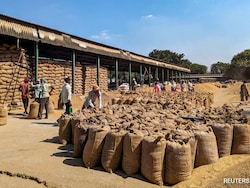 Iran War Hits India's Basmati Trade, 4 Lakh Tonnes Of Rice Stranded