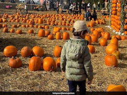 Amy Jackson And Her Son Andreas Set Cosy Autumn Mother-Son Goals When They Went Pumpkin Picking Together Amy Jackson And Her Son Andreas Set Cosy Autumn Mother-Son Goals When They Went Pumpkin Picking Together