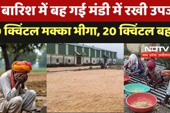 MP News in Hindi : पानी में बह गई अन्नदाताओं की मेहनत, मंडी में रखा 400 क्विंटल मक्के की फसल भीगी MP News in Hindi : पानी में बह गई अन्नदाताओं की मेहनत, मंडी में रखा 400 क्विंटल मक्के की फसल भीगी
