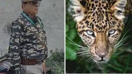 अब होगा उदयपुर के आदमखोर का अंत! 'शूट एट साइट' ऑर्डर के बाद अब हैदराबाद से बुलाए गए शार्प शूटर