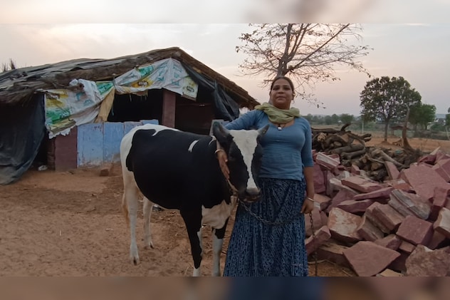 किन्नर हिना बाई को पशु-पक्षियों की खुद देखभाल करती हैं. 