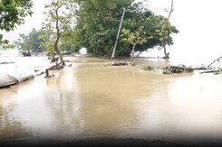 Floods Cause Widespread Damage In Supaul District Of Bihar Floods Cause Widespread Damage In Supaul District Of Bihar