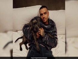 Liam Payne Death: All You Need To Know About The Former One Direction Member Liam Payne Death: All You Need To Know About The Former One Direction Member