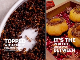 This Mumbai Restaurant Is Making Waves With Its Fusion Pani Puri Topped With Fire Ants This Mumbai Restaurant Is Making Waves With Its Fusion Pani Puri Topped With Fire Ants