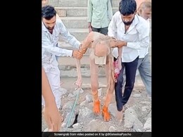 Fact Check:जानिए क्या है गुफा के अंदर मिले 188 साल के इस बुजुर्ग की सच्चाई, क्या है इनकी सही पहचान