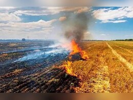 जिस पराली से सब परेशान वो ही बनी कमाई का जरिया, एक कारोबारी की पहल आई काम जिस पराली से सब परेशान वो ही बनी कमाई का जरिया, एक कारोबारी की पहल आई काम