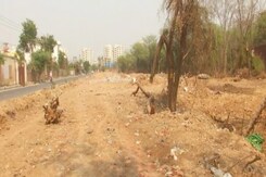 "Wasn't Aware Permission Needed": Delhi Lt Governor To Top Court On Tree Felling "Wasn't Aware Permission Needed": Delhi Lt Governor To Top Court On Tree Felling