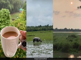 Follow These Tips To Explore Kaziranga National Park Like Nimrat Kaur Did Follow These Tips To Explore Kaziranga National Park Like Nimrat Kaur Did