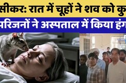 Sikar News: रात में चूहों ने शव को कुतरा,  परिजनों ने अस्पताल में किया हंगामा