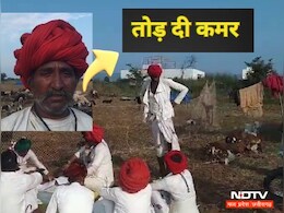 राजस्थान से एमपी आया था भेड़ चरवाहा, तेज रफ्तार ट्रक ने 25 भेड़ों को बुरी तरह रौंदा, 20 की हुई मौत