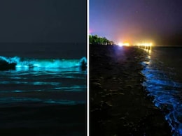 जानें रात में नीली रोशनी से क्यों जगमगाने लगा समंदर का किनारा, लोगों को नहीं हुआ खुद की ही आंखों पर भरोसा