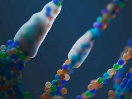 Single Cell Could Be Capable Of 'Learning': Study Single Cell Could Be Capable Of 'Learning': Study