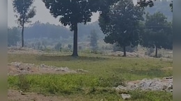 महासमुंद में भूमाफियाओं का बड़ा खेल, धोखाधड़ी कर खरीद-बेच रहे सरकारी जमीन; ग्रामीणों ने कलेक्टर को दी चेतावनी