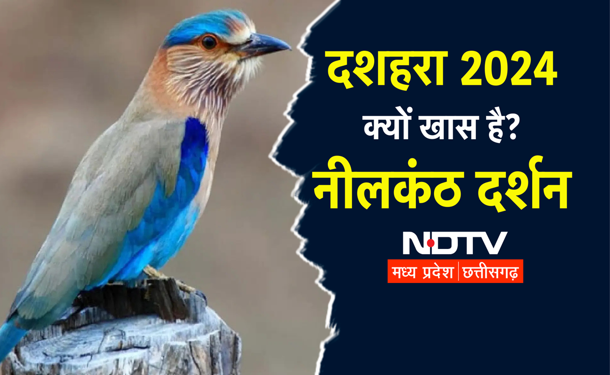 Dussehra 2024: नीलकंठ दर्शन से बन जाते हैं सारे काम, दशहरे के दिन क्या है इस पक्षी का महत्व? जानिए यहां