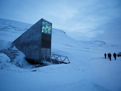 Doomsday Arctic Vault, The World's Backup Gene Bank, Sees Surge In Samples