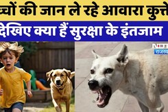 बच्चों की जान ले रहे आवारा कुत्ते, देखिए क्या हैं सुरक्षा के इंतजाम