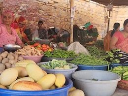Vegetable Price Hike: राजस्थान में हरी सब्जियों के भाव बढ़े, टमाटर 100 रुपये तो धनिया 300 रुपये प्रति किलो के पार