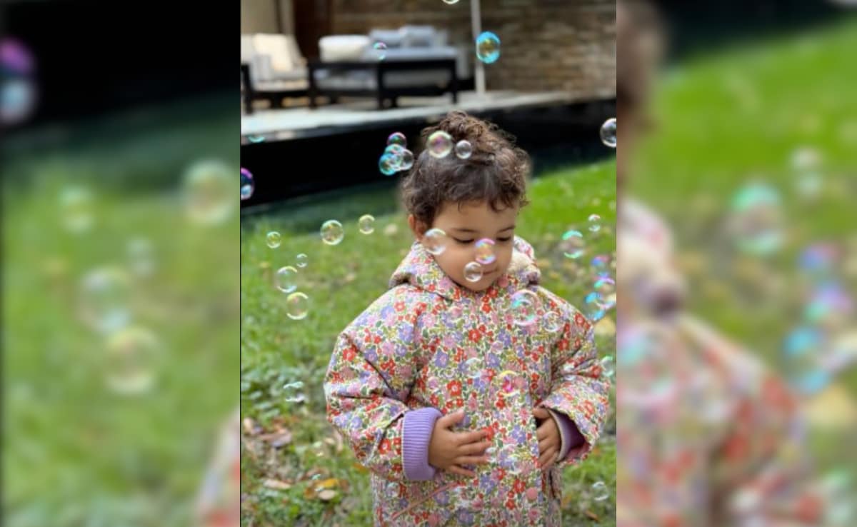 Latest and Breaking News on NDTV Latest and Breaking News on NDTV