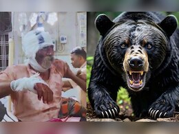 MP News: तेंदुए के बाद शिवपुरी में भालू का खौफ, जख्मी किसान की ऐसे बची जान