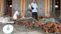 This Infectious Disease Is Likely To Be Biggest Emerging Problem In 2025