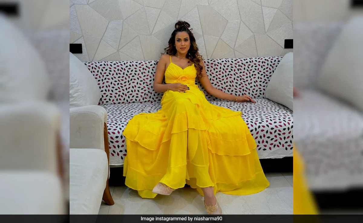 Nia Sharma On <i>Bigg Boss 18</i>: "Don't Call Or Text Me To Ask Anything"