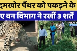 Rajasthan News: आदमखोर पैंथर को पकड़ने का ऑपरेशन शुरू, वन विभाग ने रखीं 3 शर्तें Rajasthan News: आदमखोर पैंथर को पकड़ने का ऑपरेशन शुरू, वन विभाग ने रखीं 3 शर्तें