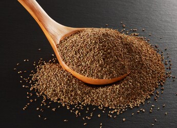 5 Spices Every Woman Should Have In Her Daily Diet, As Per An Expert 5 Spices Every Woman Should Have In Her Daily Diet, As Per An Expert