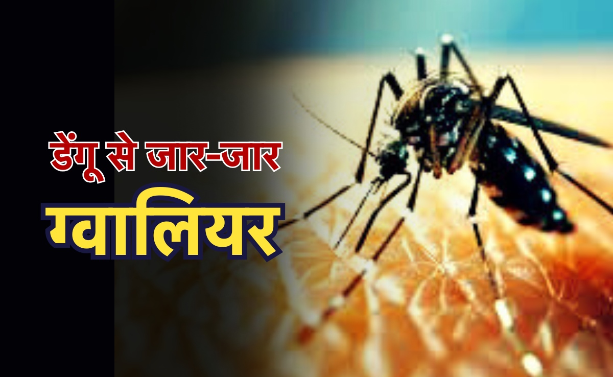 Dengue Outbreak: डेंगू के प्रकोप से ग्वालियर में हाहाकार, अवमानना याचिका पर हाईकोर्ट ने आला अधिकारियों से मांगा जवाब