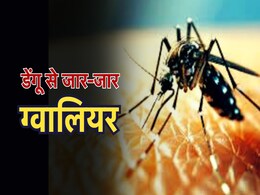 Dengue Outbreak: डेंगू के प्रकोप से ग्वालियर में हाहाकार, अवमानना याचिका पर हाईकोर्ट ने आला अधिकारियों से मांगा जवाब Dengue Outbreak: डेंगू के प्रकोप से ग्वालियर में हाहाकार, अवमानना याचिका पर हाईकोर्ट ने आला अधिकारियों से मांगा जवाब