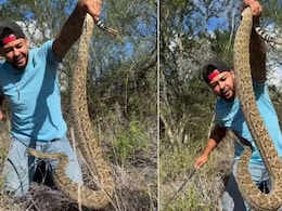 इसकी नसें स्टील की होंगी...शख्स ने नंगे हाथों से विशालकाय सांप को ऐसे हवा में लहराया, Video देख खड़े हो जाएंगे रोंगटे