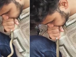 शख्स ने सांप को दिया जीवनदान, मुंह में मुंह डालकर ऐसे दिया CPR, Video देख इंसानियत पर मजबूत हो जाएगा आपका भरोसा शख्स ने सांप को दिया जीवनदान, मुंह में मुंह डालकर ऐसे दिया CPR, Video देख इंसानियत पर मजबूत हो जाएगा आपका भरोसा