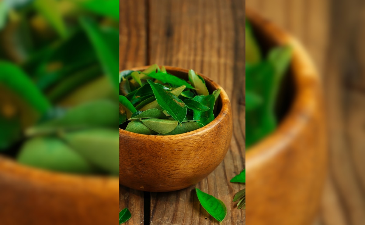 सुबह-सुबह खाली पेट पिएं करी पत्ते का पानी, बढ़ाएं अपनी रोग प्रतिरोधक क्षमता और पाएं सेहत के कई लाभ