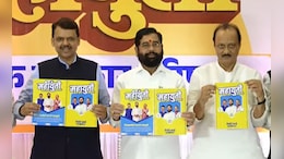 'अजितदादा आमच्यात आले नसते तर आम्ही 100 जागा जिंकल्या असत्या' शिंदेंचा शिलेदार थेट बोलला
