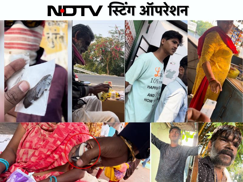 NDTV का ड्रग्स पर प्रहार, बड़ी मछली छोड़ छोटी पर होती है कार्रवाई, स्टिंग ऑपरेशन पर युवाओं की ऐसी राय आई सामने