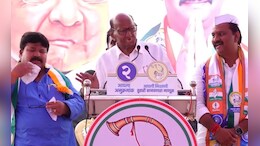 पाडा पाडा पाडा! असं पवारांनी ज्या मतदार संघात सांगितलं, तिथं काय झालं?