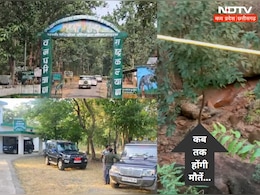 Leopard Death : छत्तीसगढ़ में खतरे में वन्य जीव ! तेंदुए की रहस्यमयी मौत ने खड़े कर दिए सवाल ? Leopard Death : छत्तीसगढ़ में खतरे में वन्य जीव ! तेंदुए की रहस्यमयी मौत ने खड़े कर दिए सवाल ?
