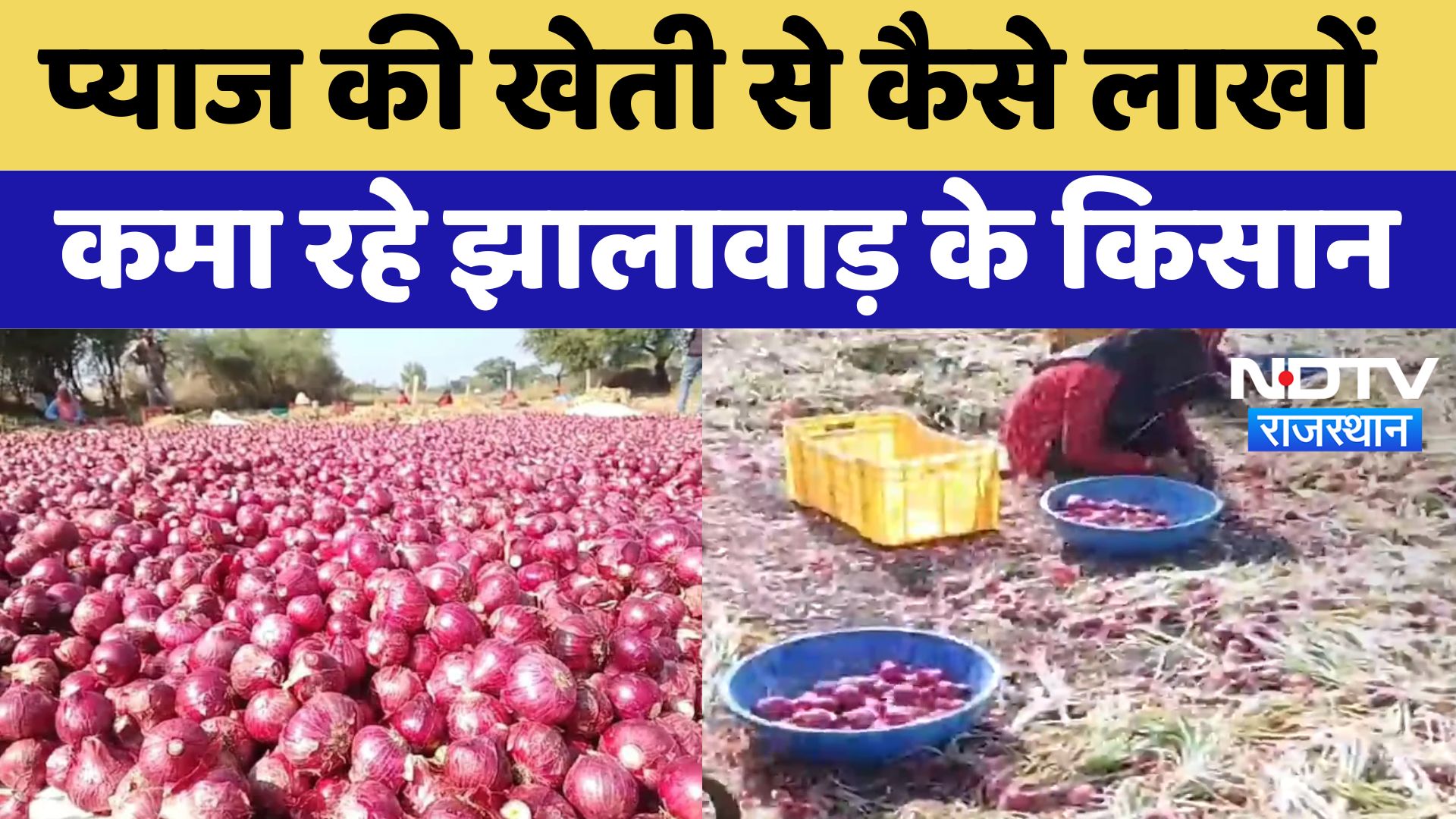 Jhalawar News : प्‍याज की खेती से कैसे लाखों कमा रहे झालावाड़ के क‍िसान | Latest | Rajasthan News