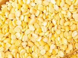 Moong Dal Benefits: डायबिटीज में रामबाण है मूंग की दाल, इन बीमारियों में भी मिलता है फायदा Moong Dal Benefits: डायबिटीज में रामबाण है मूंग की दाल, इन बीमारियों में भी मिलता है फायदा