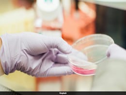 Vietnamese Father Discovers Daughter Was Swapped At Birth Through DNA Test Vietnamese Father Discovers Daughter Was Swapped At Birth Through DNA Test