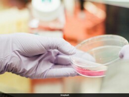 दो अलग परिवारों मे रह रही इन बच्चियों के सामने आई ऐसी सच्चाई, जान उड़ जाएंगे होश, अपने ही माता-पिता से नहीं मिलती शक्लें!