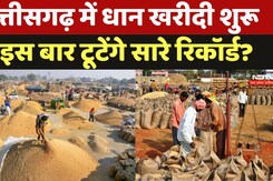 Chhattisgarh Dhan Kharidi 2024:आज से धान खरीदी हुई शुरू, क्या इस बार टूटेंगे सारे रिकॉर्ड?