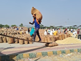 बूंदी के चावल की चमक क्यों हो रही फीकी? 1 हजार रुपये प्रति क्विंटल तक गिरे भाव; ग्राउंड रिपोर्ट में जानें किसानों का दर्द