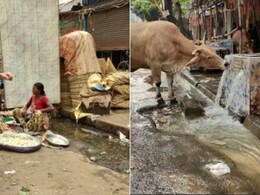 यह कोई भूख से मर रहा अफ़्रीकी शहर नहीं, कोलकाता है... शख्स ने शेयर किए ऐसे-ऐसे Videos और तस्वीरें, भड़के सोशल मीडिया यूजर्स यह कोई भूख से मर रहा अफ़्रीकी शहर नहीं, कोलकाता है... शख्स ने शेयर किए ऐसे-ऐसे Videos और तस्वीरें, भड़के सोशल मीडिया यूजर्स
